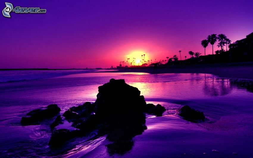 puesta de sol púrpura, costa, rocas, mar, océano