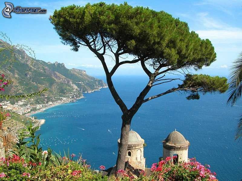 Salerno, Italia, árbol solitario, costa, mar, capilla