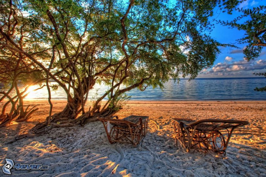 sillas, playa, mar, árboles, HDR