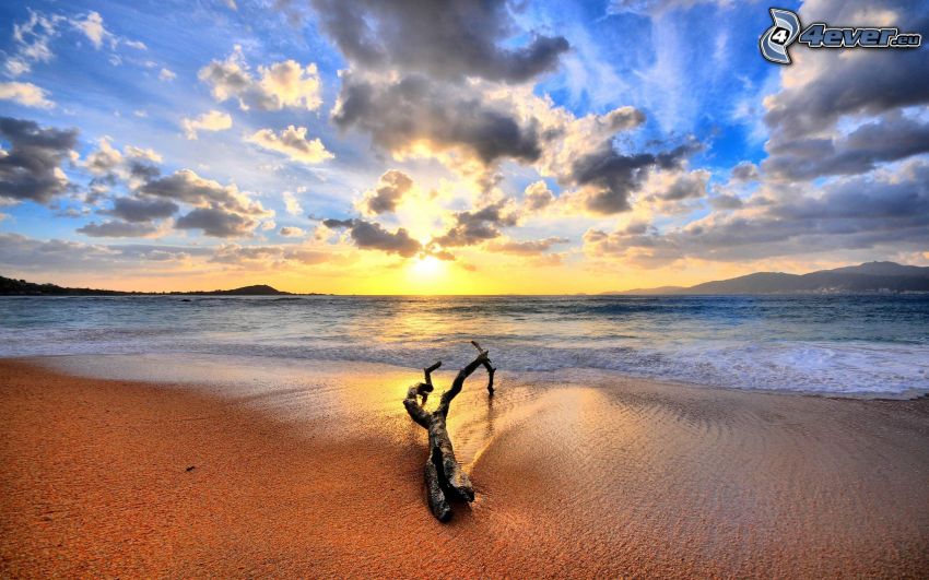 tronco en la playa, tronco seco, puesta de sol en el mar