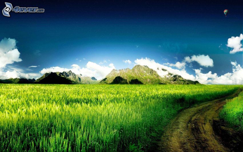 montaña rocosa, camino de campo, campo de maíz verde, globo de aire caliente