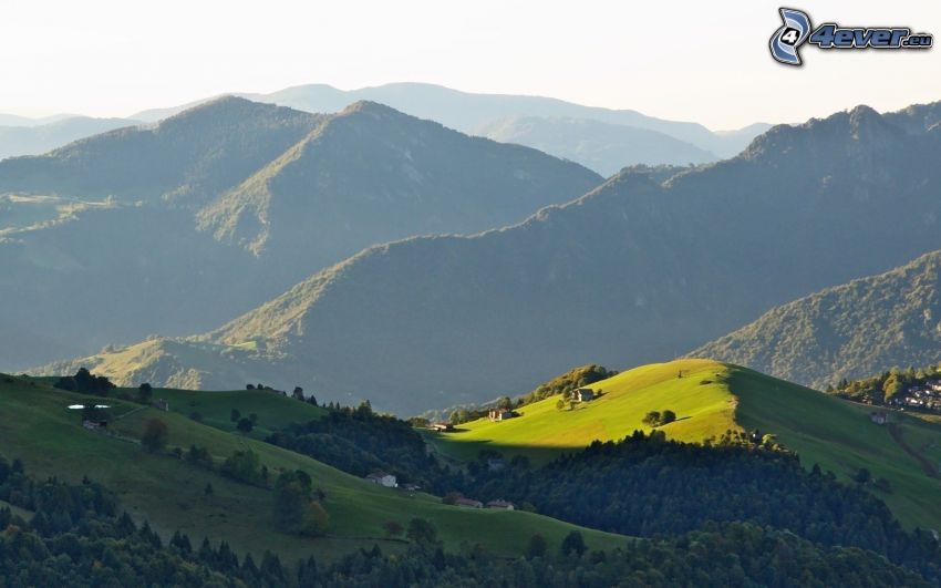 montañas, bosques y praderas