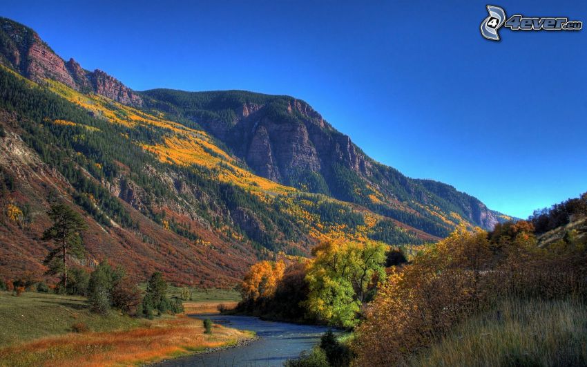 montañas, río, bosque colorido del otoño