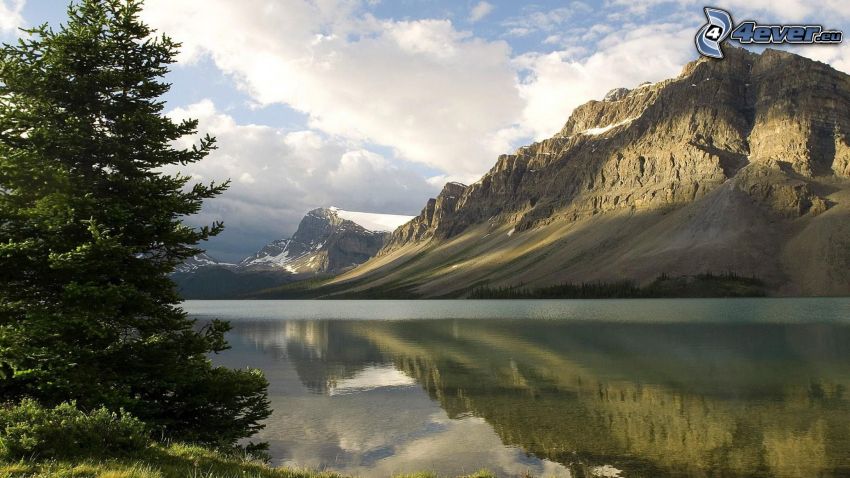 Bow Lake, Parque Nacional Banff, Alberta, Canadá, montañas, árboles coníferos