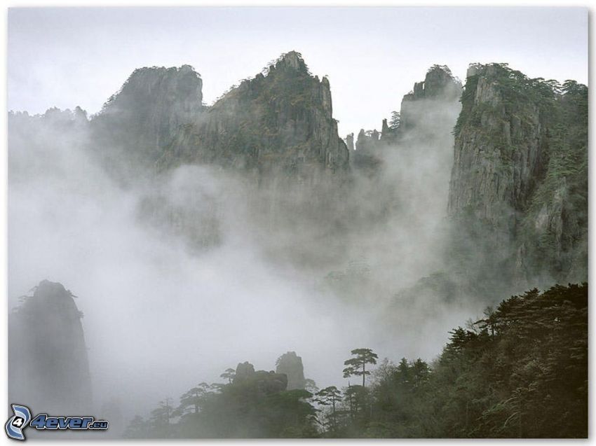 Campo chino, niebla