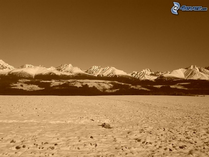 montaña nevada, prado