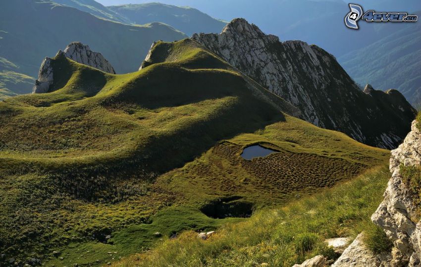 montaña rocosa, musgo, hierba