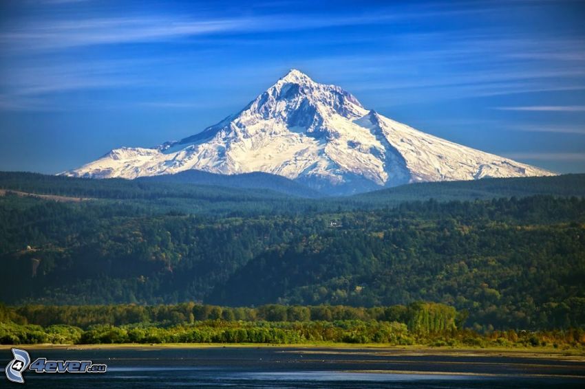 Mount Hood, montaña nevada, bosque