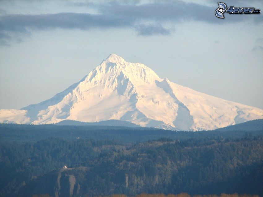 Mount Hood, montaña nevada, bosque