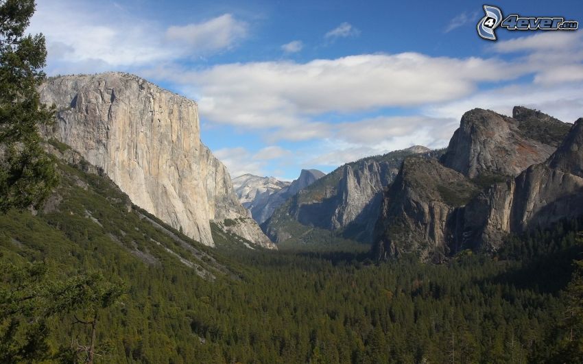 Parque nacional de Yosemite, montaña rocosa, bosques de coníferas