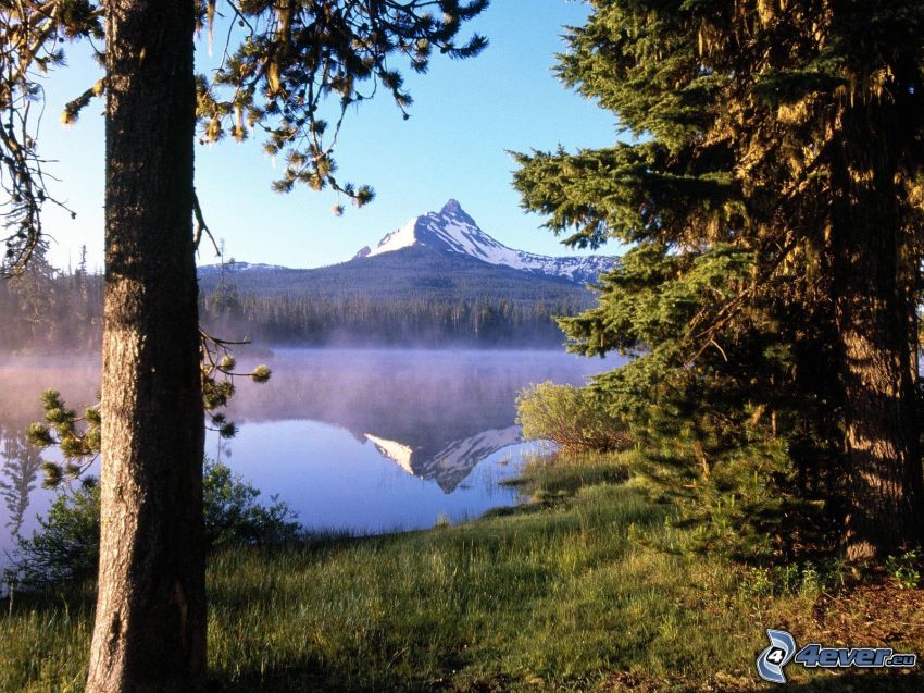 Mount Washington, Oregon, niebla sobre el lago, montañas nevadas, bosques de coníferas