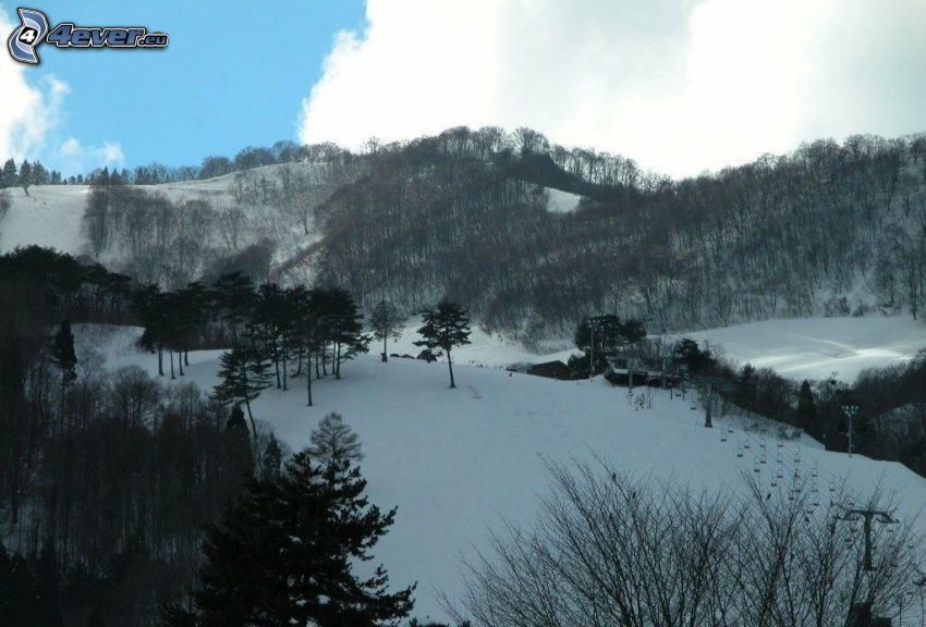 paisaje nevado, colinas cubiertas de nieve