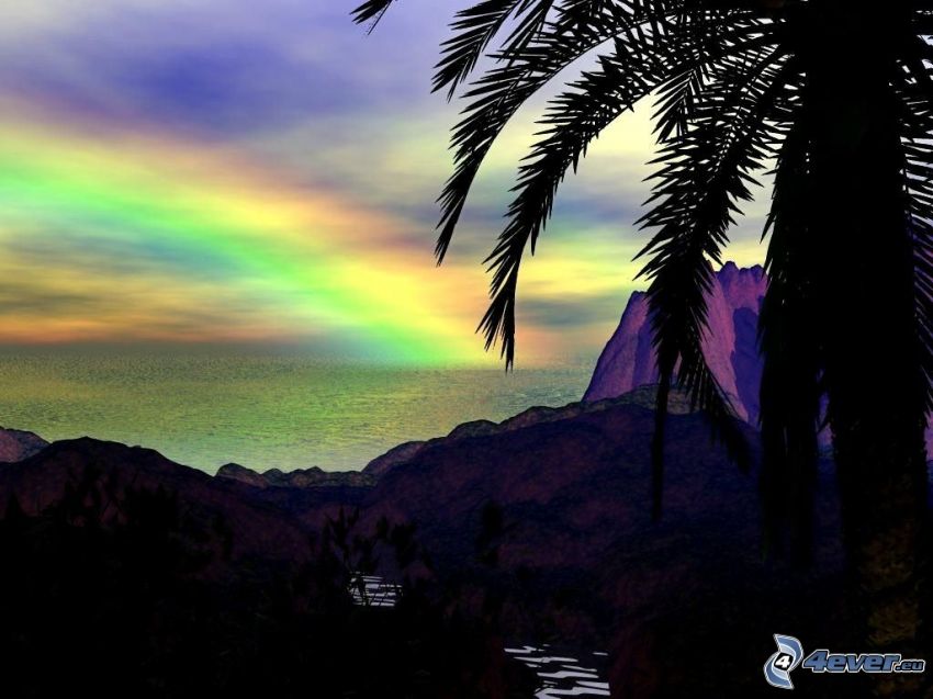 arco iris, isla, palmera, mar