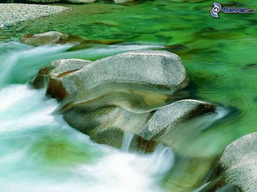 arroyo de montaña, torrente, piedras, agua