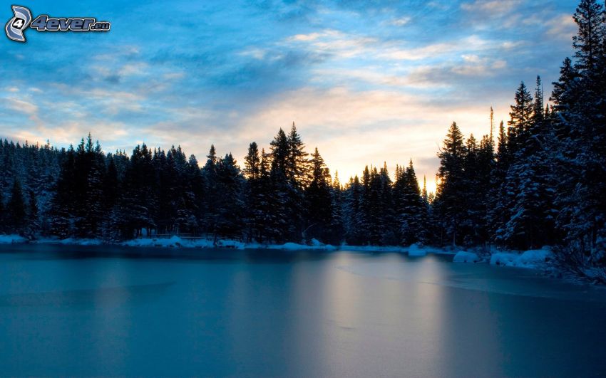 bosque después de la puesta del sol, lago congelado