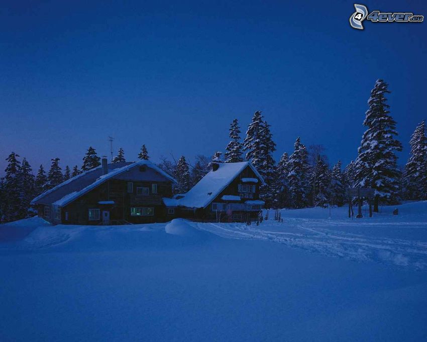casa de campo cubierto de nieve, bosque, invierno