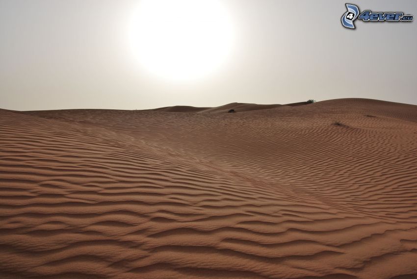 desierto, arena