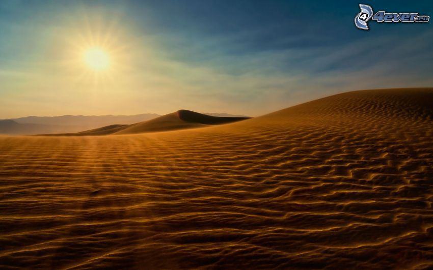 desierto, dunas de arena, puesta del sol
