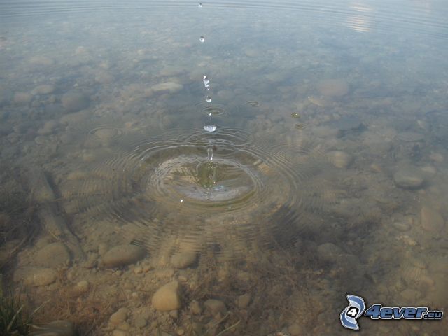 gota de agua, círculos en el agua, nivel de agua