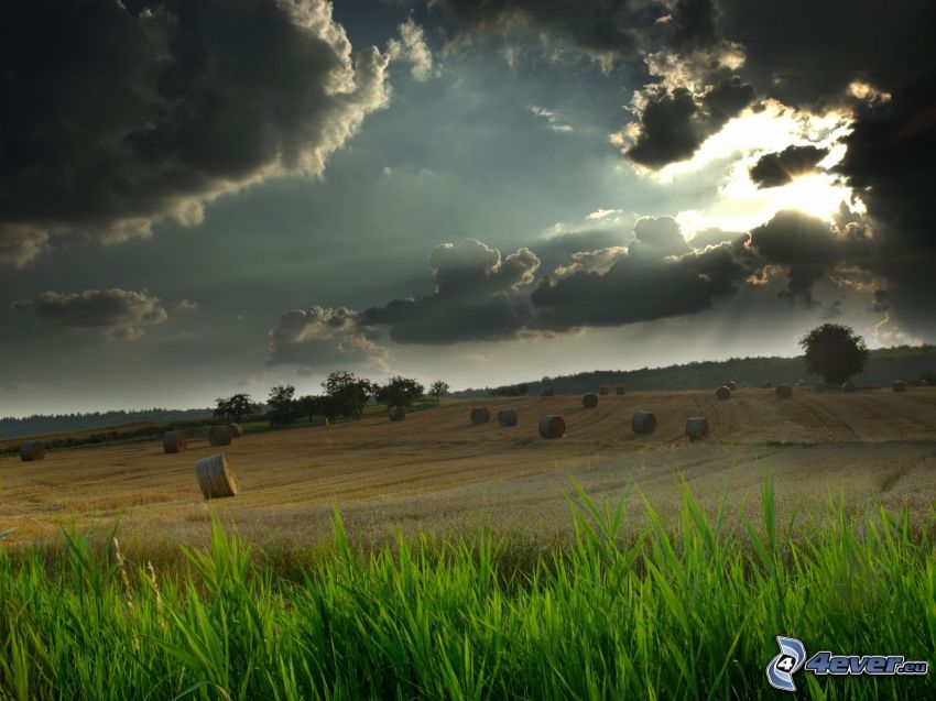 heno después de la cosecha, campo, rayos del sol detrás de las nubes