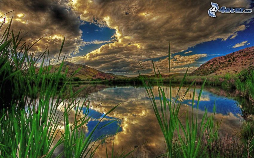 lago, el sol detrás de los nubes, hierba alta, reflejo, HDR