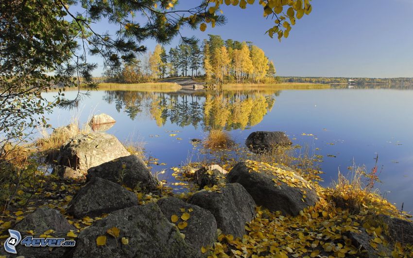 lago, hojas amarillas, árboles de colores, otoño