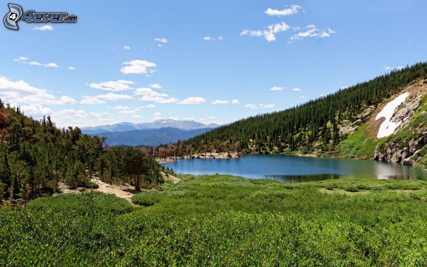 lago de montaña, colina, verde
