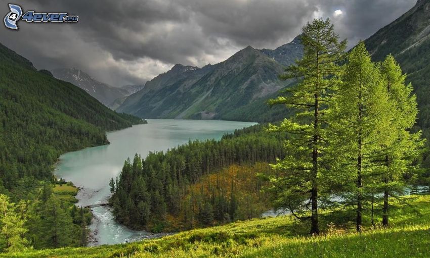 Lago en el bosque, río, árboles coníferos, montaña rocosa, nubes oscuras