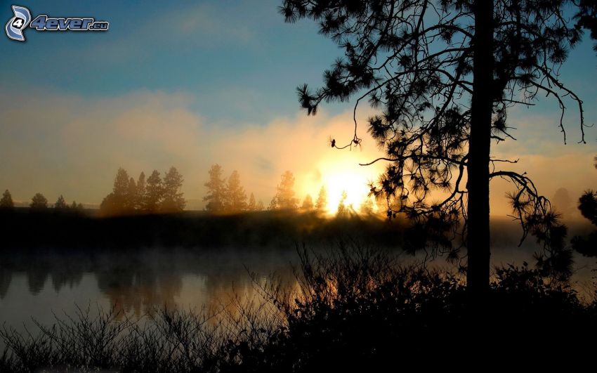 puesta del sol, niebla sobre el lago