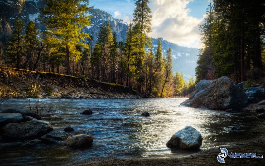 Río en el Parque Nacional de Yosemite, amanecer, bosque, piedras