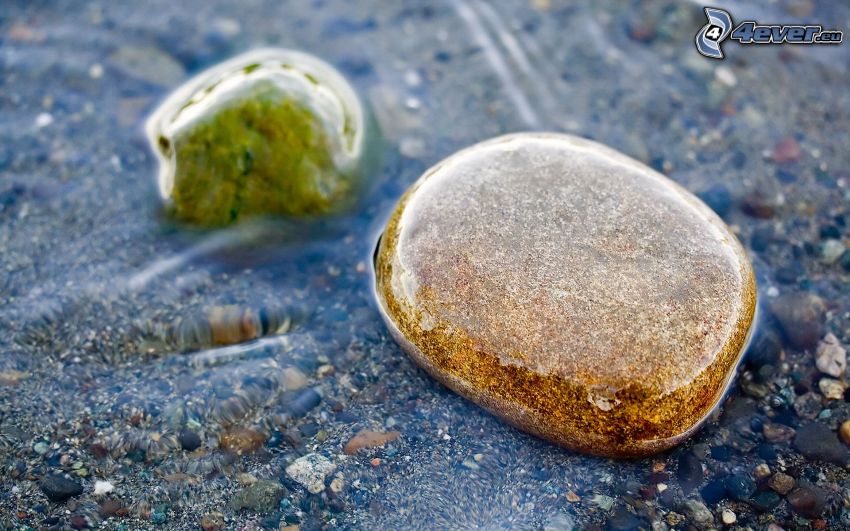 piedras, mar, agua