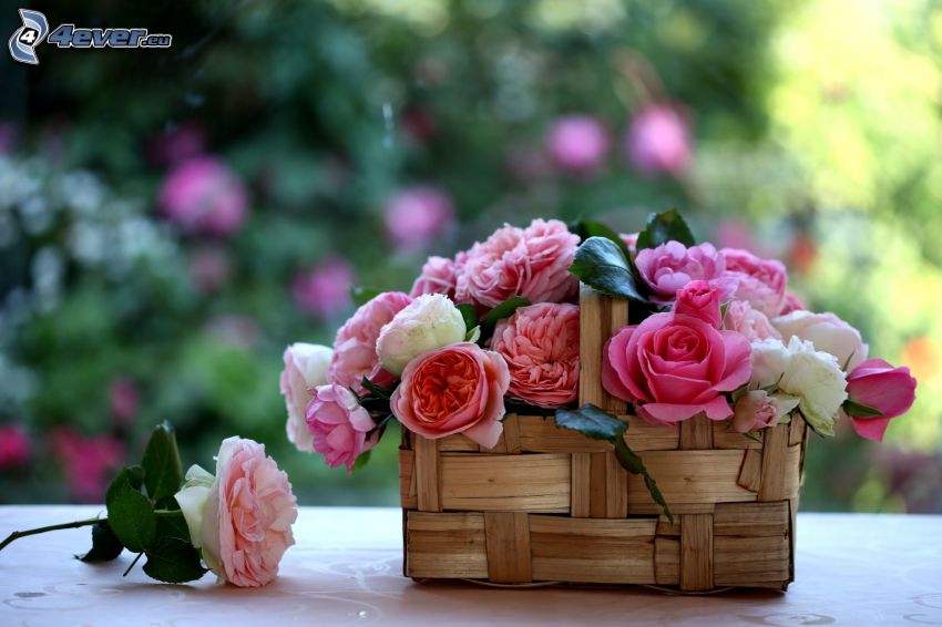 flores, cesta