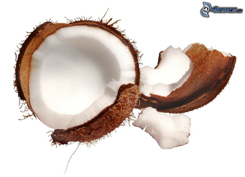 el nuez de coco