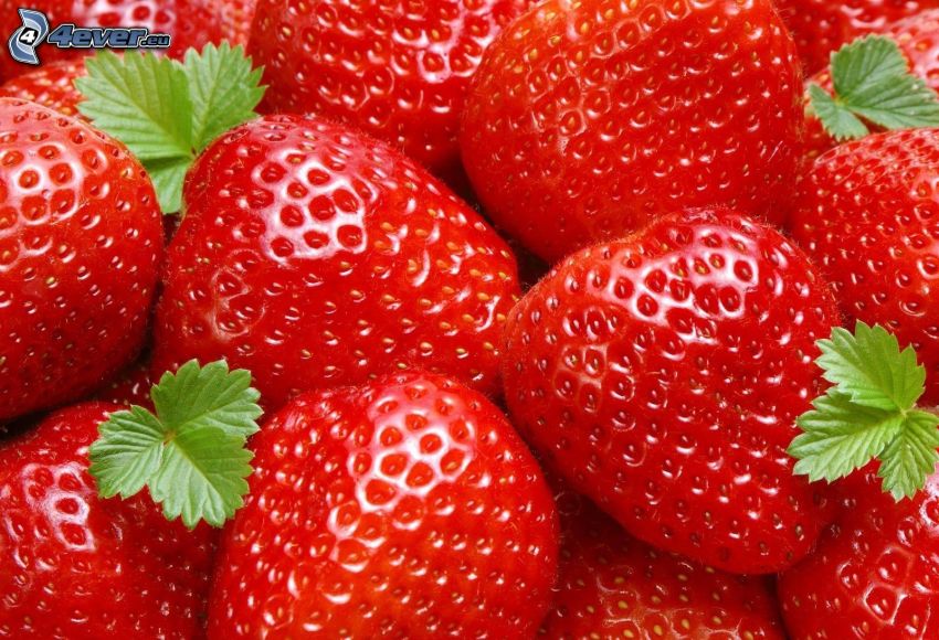 fresas