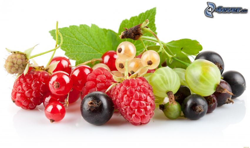 fruto forestal, Grosella negra, frambuesas, grosellas, uva espina