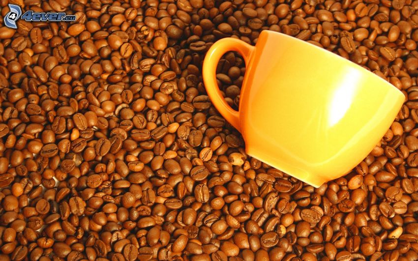 granos de café, taza