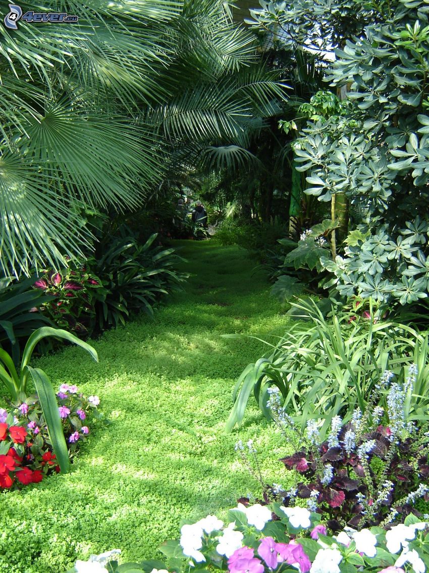 jardín botánico, Lednice, verde, flores