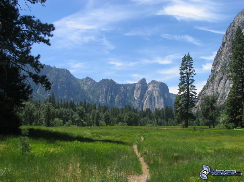 prado en Parque Nacional de Yosemita
