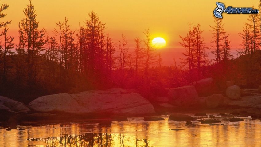 puesta de sol anaranjada, lago, árboles