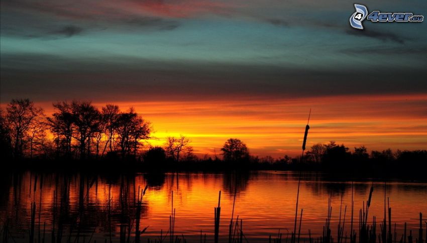 puesta de sol anaranjada, lago
