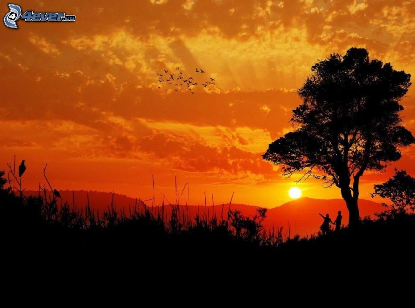 puesta de sol anaranjada, silueta de un árbol, silueta de una pareja
