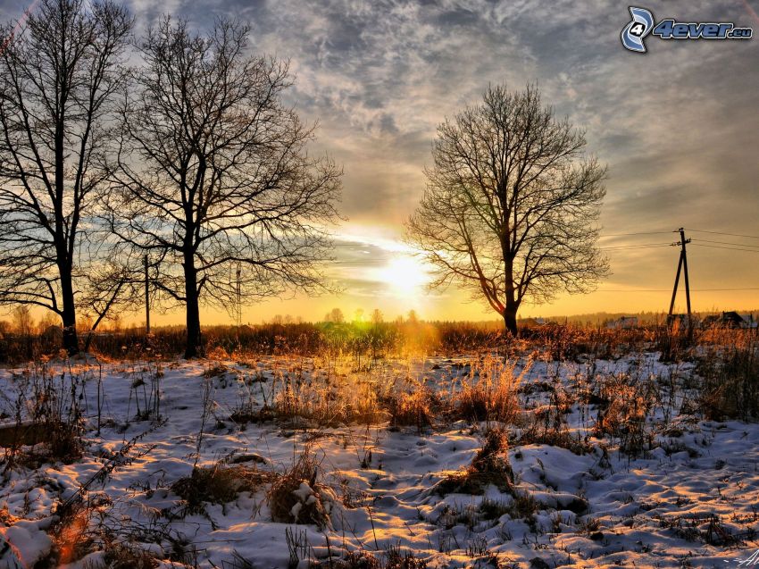 puesta de sol en la pradera, prado cubierto de nieve