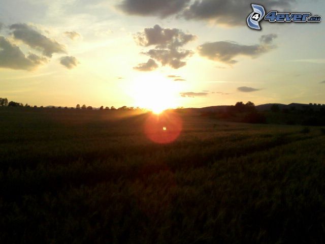 puesta de sol sobre el campo