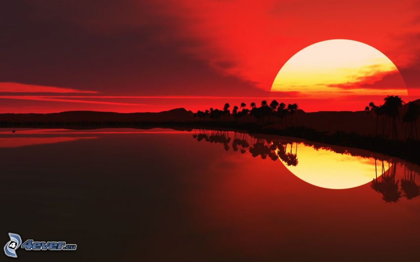 puesta de sol sobre el lago, palmera