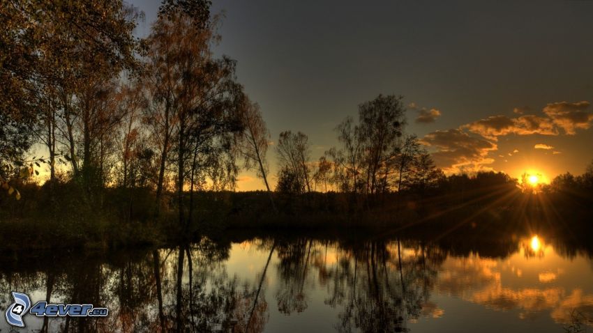puesta de sol sobre un lago, siluetas de los árboles