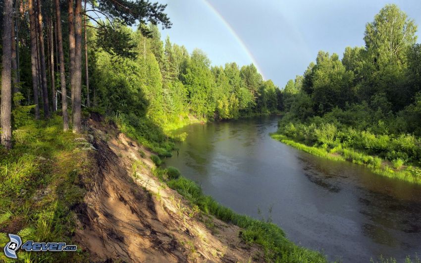 río, bosque, arco iris