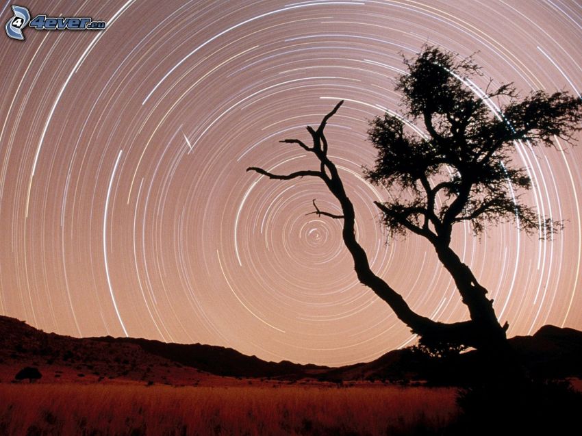 silueta de un árbol, cielo estrellado, sierra, rotación de la Tierra