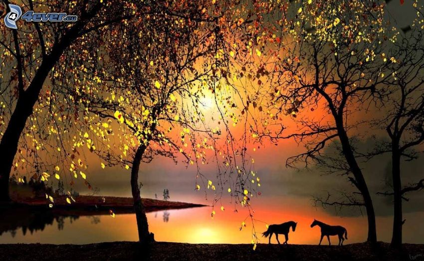 siluetas de caballos, puesta de sol sobre un lago, árboles, atardecer