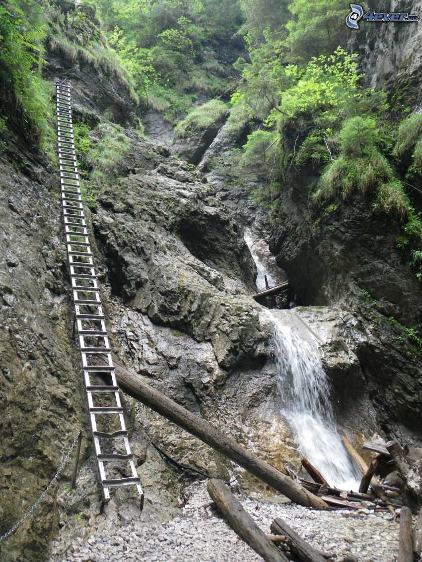 Suchá Belá, Slovenský Raj, escalera, cascada