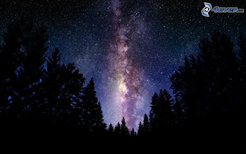 cielo de noche, cielo estrellado, silueta de un bosque, Vía Láctea